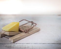 Чоловік хотів впіймати мишу, та гризун вирішив інакше: що сталося (відео)