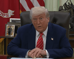 МИД Индии раскритиковал сообщение Трампа, в котором страна названа "адской дырой", — Bloomberg