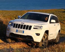 В Украине упростили ввоз евроблях: кто может воспользоваться новыми правилами