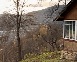 Українці живуть у покинутій садибі в Карпатах: тепер їм заздрять мільйони (фото)