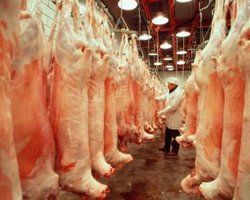 Украина отказалась от мяса из Европы из-за вируса