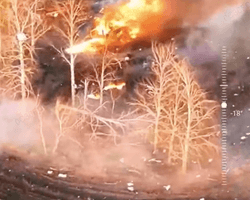 Десантники ВСУ сорвали несколько штурмов пехоты с бронетехникой ВС РФ в Курской области (видео)