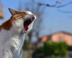 В Україну йде похолодання: як довго чекати на нове потепління