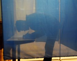 Поддержка "Слуги народа" растет, "Голос" – проходит в Раду, – опрос "Рейтинга"