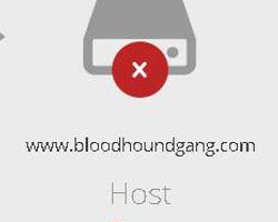 Украинские хакеры вывели из строя сайт Bloodhound Gang