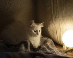 Графики отключений на 14 ноября: кто может остаться без света почти на 15 часов (фото)