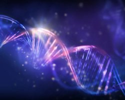 Учені перетворили ДНК на перезаписуваний жорсткий диск: чудовий спосіб захисту від хакерів