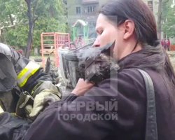 Обстрел Кривого Рога: из горящей многоэтажки спасли кота Шамиля (видео)