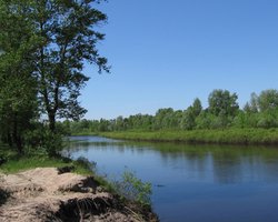 В Черниговской области упал в реку автомобиль. Двое погибших