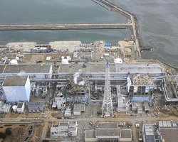 Радиоактивные вещества вокруг аварийной Фукусимы впитались в почву 