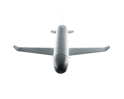 Таинственная украинская ракета-дрон "Паляниця" нацелена на авиацию РФ, — Forbes