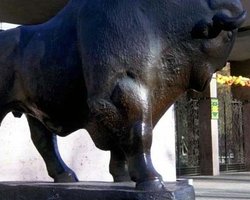 Киевскому зоопарку ищут нового директора, - СМИ