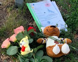 В Виннице количество жертв ракетного удара превысило 30 человек, — нардеп (фото)