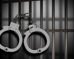 В Беларуси посадили противников Лукашенко на выборах