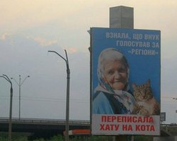 Бабушка с котом стала самым популярным поисковым запросом украинцев в Google