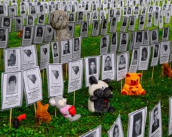 Топ 7 воєнних конфліктів сьогодення. Війна на Балканах: Сербія і Боснія та Герцеговина