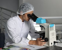 В Чернобыле ВС РФ захватили и уничтожили лабораторию, стоимостью 6 млн евро