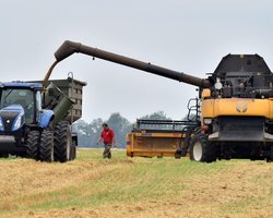 Рейтинг топменеджерів 2024: як аграрні компанії рятують бізнес і планують зростання