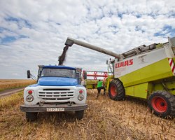 В 2020 году Украину ждет резкое падение урожая зерновых, — Институт аграрной экономики