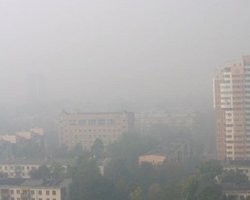 Жара в России: смертность в Подмосковье выросла на 25%