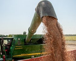 Зерновой иск Украины: ЕС будет на стороне европейских стран в арбитраже, — Financial Times