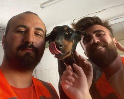 Собаку с тремя щенками спасли из-под завалов через месяц после землетрясения в Турции