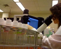 Подтверждена смерть от свиного гриппа пятерых украинцев