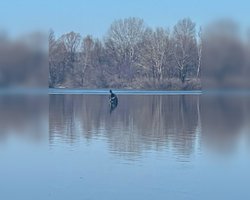 Предположительно "Точка-У": Украинская ПВО сбили ракету над Киевом, — Геращенко