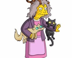 "Сумасшедшие кошатницы" оказались не такими, как считалось: ученые обнаружили нечто любопытное