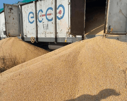 "Четвертый случай вандализма": в Польше повредили 8 вагонов с украинским урожаем (фото)