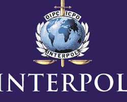 Интерпол предложил помощь в расследовании теракта в Домодедово