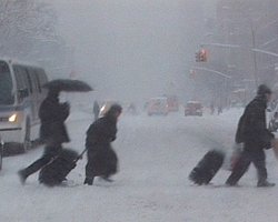 В Мариуполе жертвами непогоды стали 13 человек