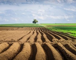 Рынок земли в Украине: ЕС сказал свое слово