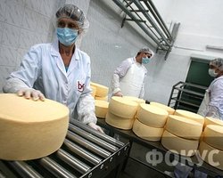 Роспотребнадзор забраковал 15 партий украинского сыра