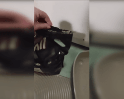 "Лучше, чем просто в таз": киевлянка использует кошачий наполнитель, когда нет воды, — соцсети