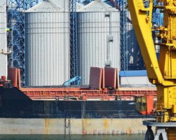 Зерновой коридор: Украина хочет продлить сделку на год и включить в нее порты Николаева