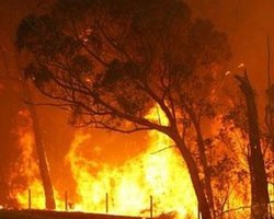 Пожары в Бразилии: сгорели несколько деревень 
