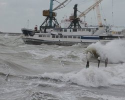 Крым страдает от непогоды из-за разрушения ландшафтов, - эколог
