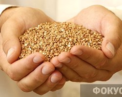 Гречка пропала с прилавков из-за действий Кабмина,- производители