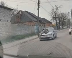 Провіз на капоті авто: у Кропивницькому водій збив військового ТЦК під час перевірки (відео)