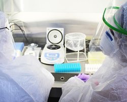 Является достаточно распространенным: в ВОЗ прокомментировали ситуацию с метапневмовирусом (видео)