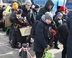 В Украине некоторых переселенцев хотят оставить без выплат: что задумали власти