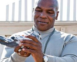 Майк Тайсон уверен в величии братьев Кличко