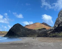 Черепахи откладывают яйца среди пластиковых "камней": ученые обнаружили тревожные изменения (фото)