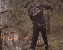 Под Киевом горят торфяники