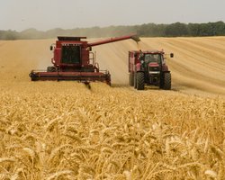 "Готовы к тесному сотрудничеству": Венгрия поможет вывозить зерно из Украины