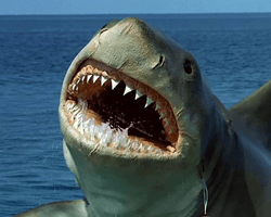 "Челюсти" уже не те: фильмы про гигантских акул больше не кажутся страшными — их считают милыми
