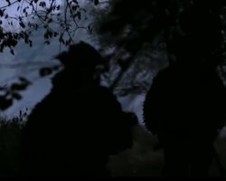 Спецпризначенці ССО показали, як влаштували засідку на вояк РФ у Курській області (відео)