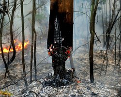 МЧС России: под Москвой потушены все пожары