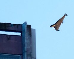 Почему "Шахед" может кружить на одном месте: в ПВО объяснили странное "поведение" БПЛА